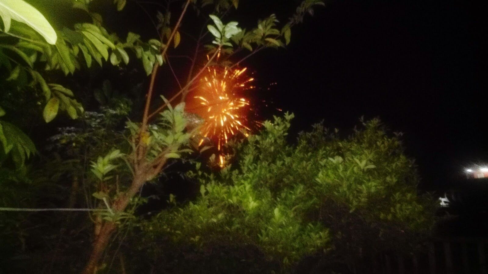 Fireworks Can Astound but Their Hidden Costs Must Be Examined